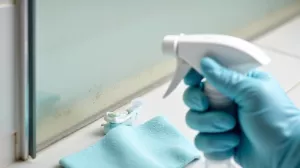jak wyczyścić uszczelki w kabinie prysznicowej