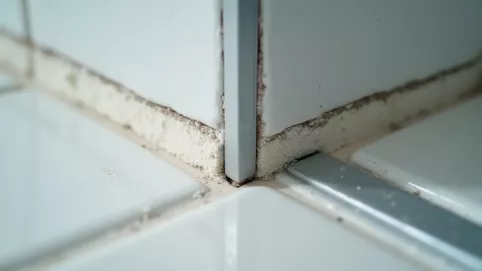 jak uszczelnić kabinę prysznicową